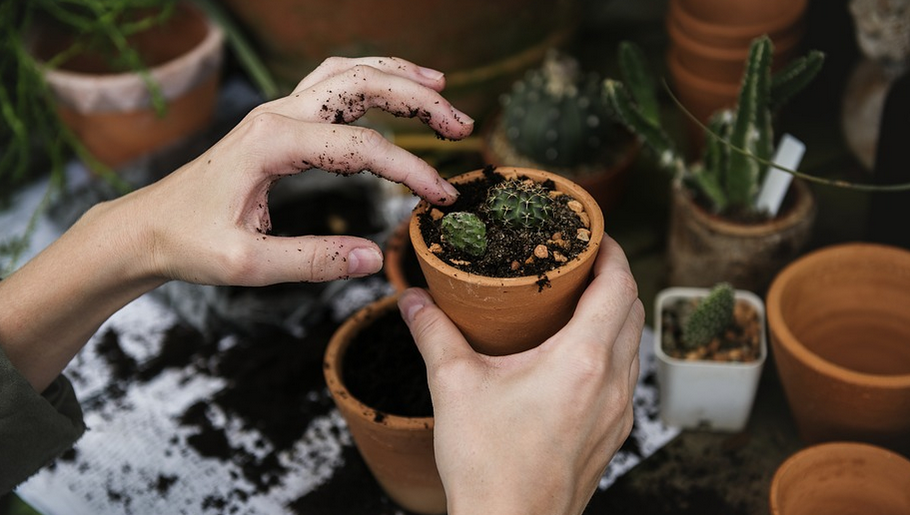 Choosing a Landscape Gardener