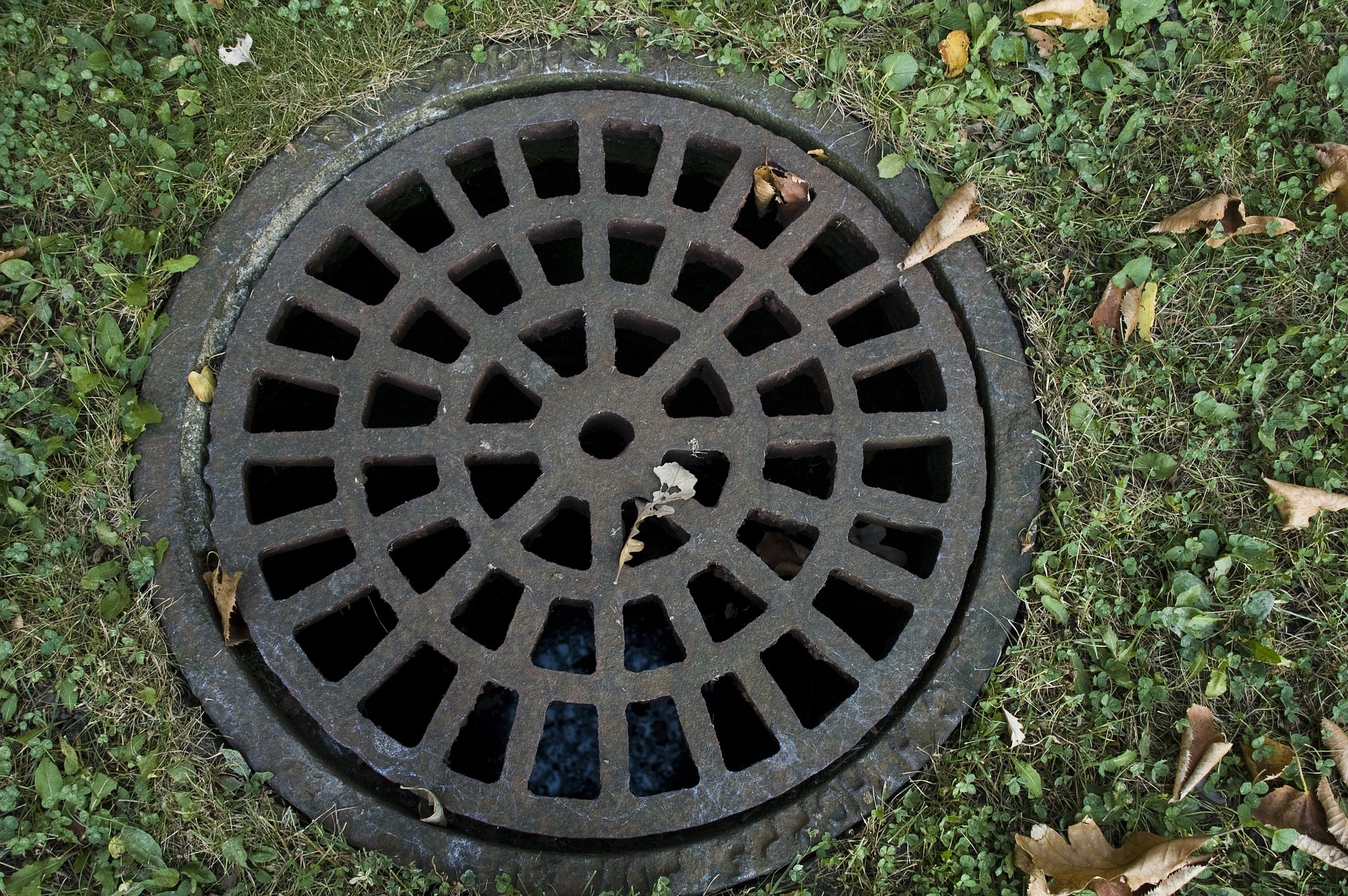 Reasons Homeowners Should Take Sewer Cleaning Seriously